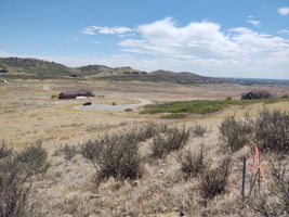 View Across Property from NW Property Corner