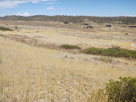 View Across 1-Acre Building Envelope from SW Corner