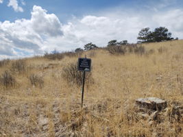 Western Boundary Adjacent to Open Space
