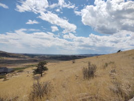 View South Along Western Property Boundary