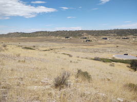 View NE Across Property