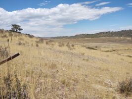 View NE Across Property