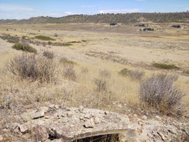View NE Across Property