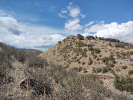 View NW from Northern Property Boundary