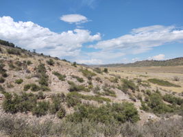 View North from Northern Property Boundary