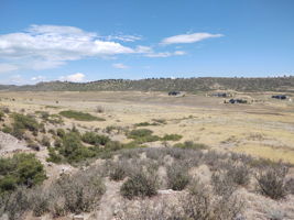 View NE from Northern Property Boundary