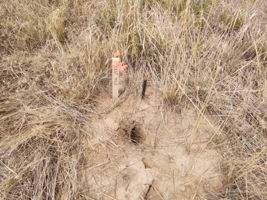 Soil and Foundation Investigation Available