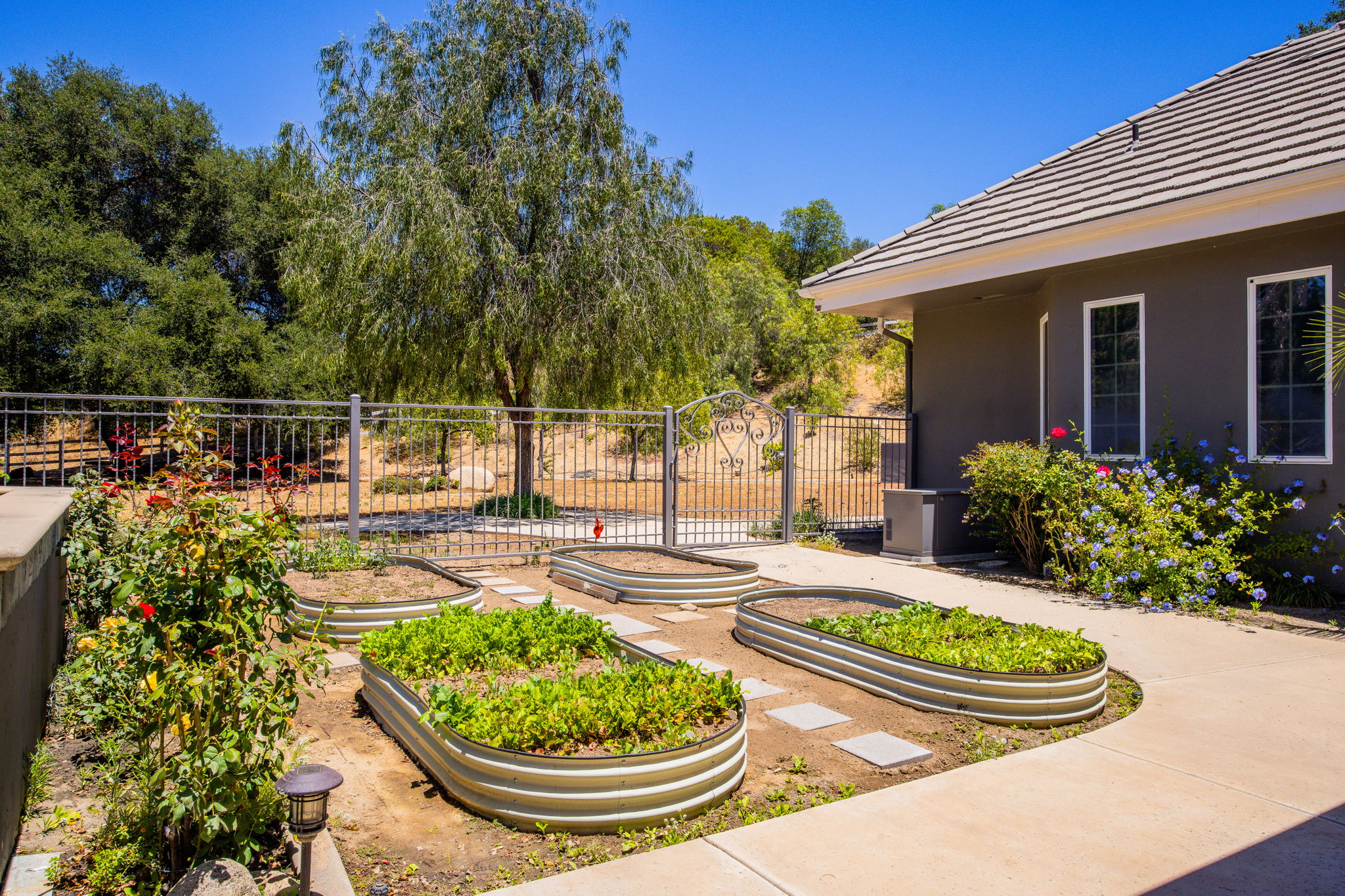 Calle De Lobo 155