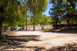 Calle De Lobo 131