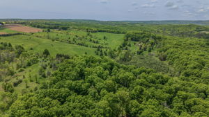 38 Big Tree Circle (51)