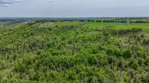 38 Big Tree Circle (54)