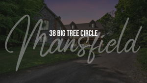 1 - Video Thumbnail