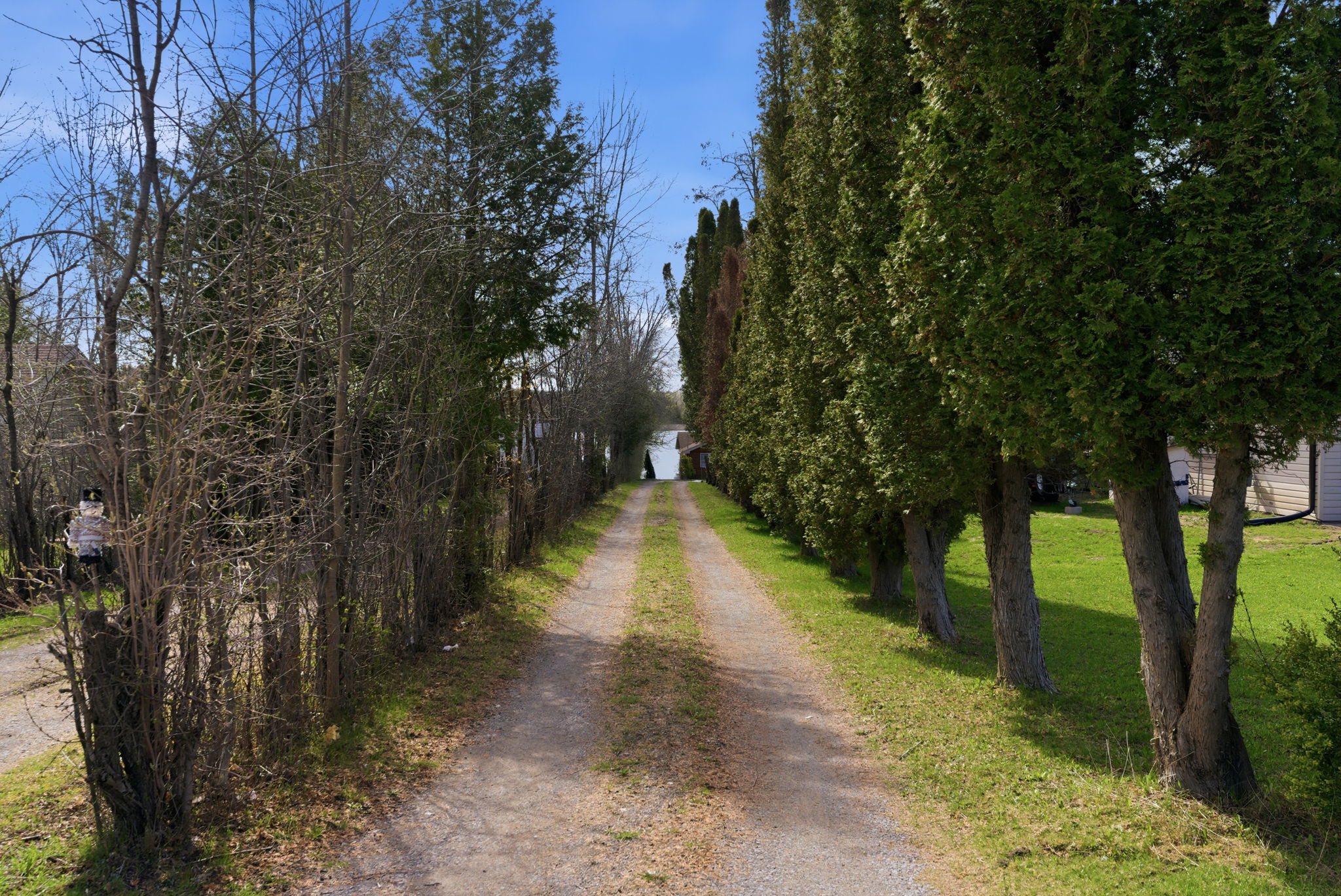 Photo 36