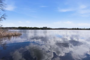  Photo 49