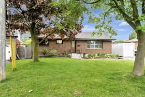  Photo 0