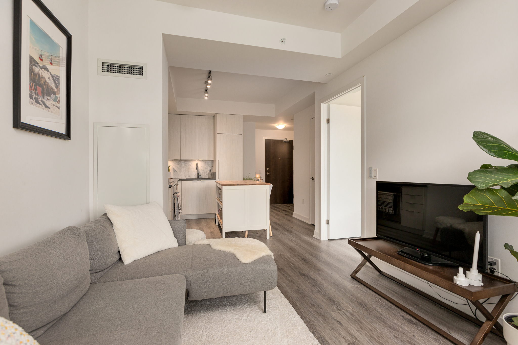 Toronto property showcase — delivered property photograph 12