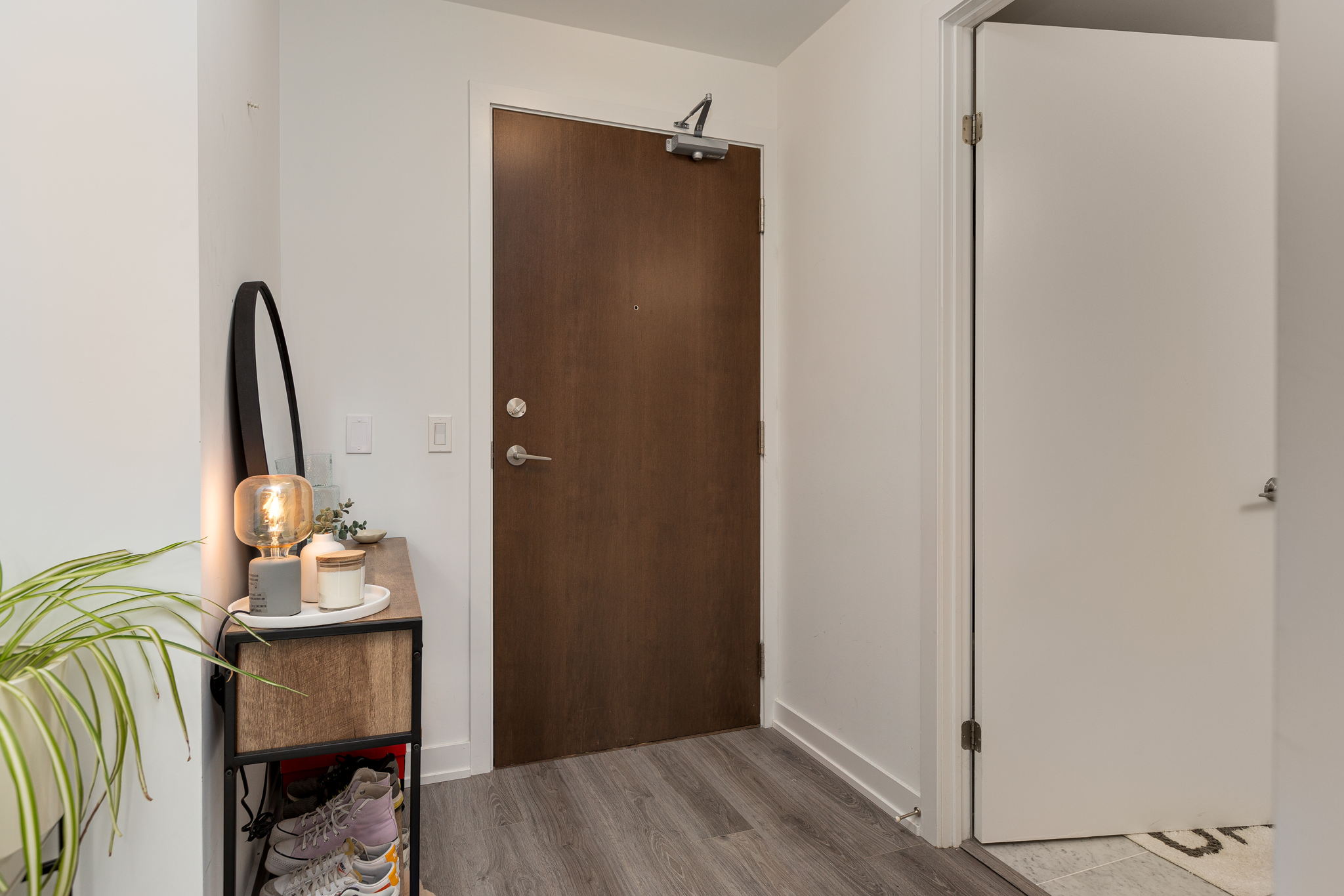 Toronto property showcase — delivered property photograph 5