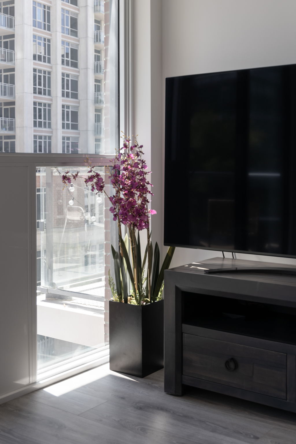 Toronto property showcase — delivered property photograph 24