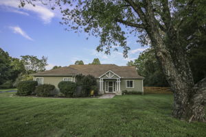  Photo 0