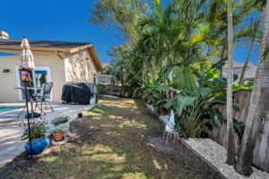 Backyard1