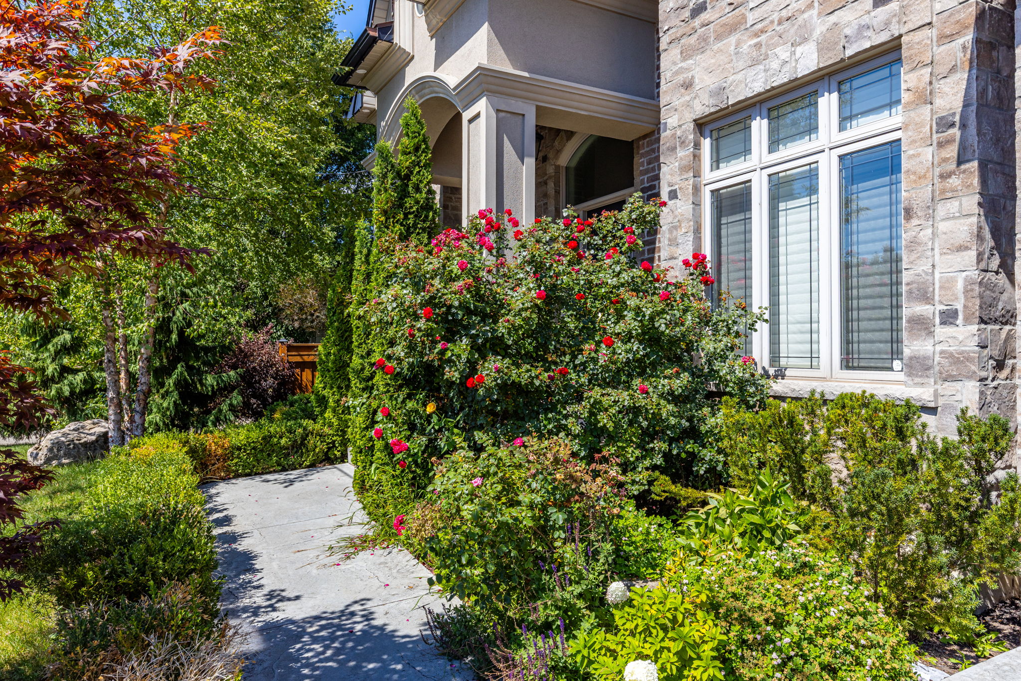 Hamilton property showcase — delivered property photograph 3