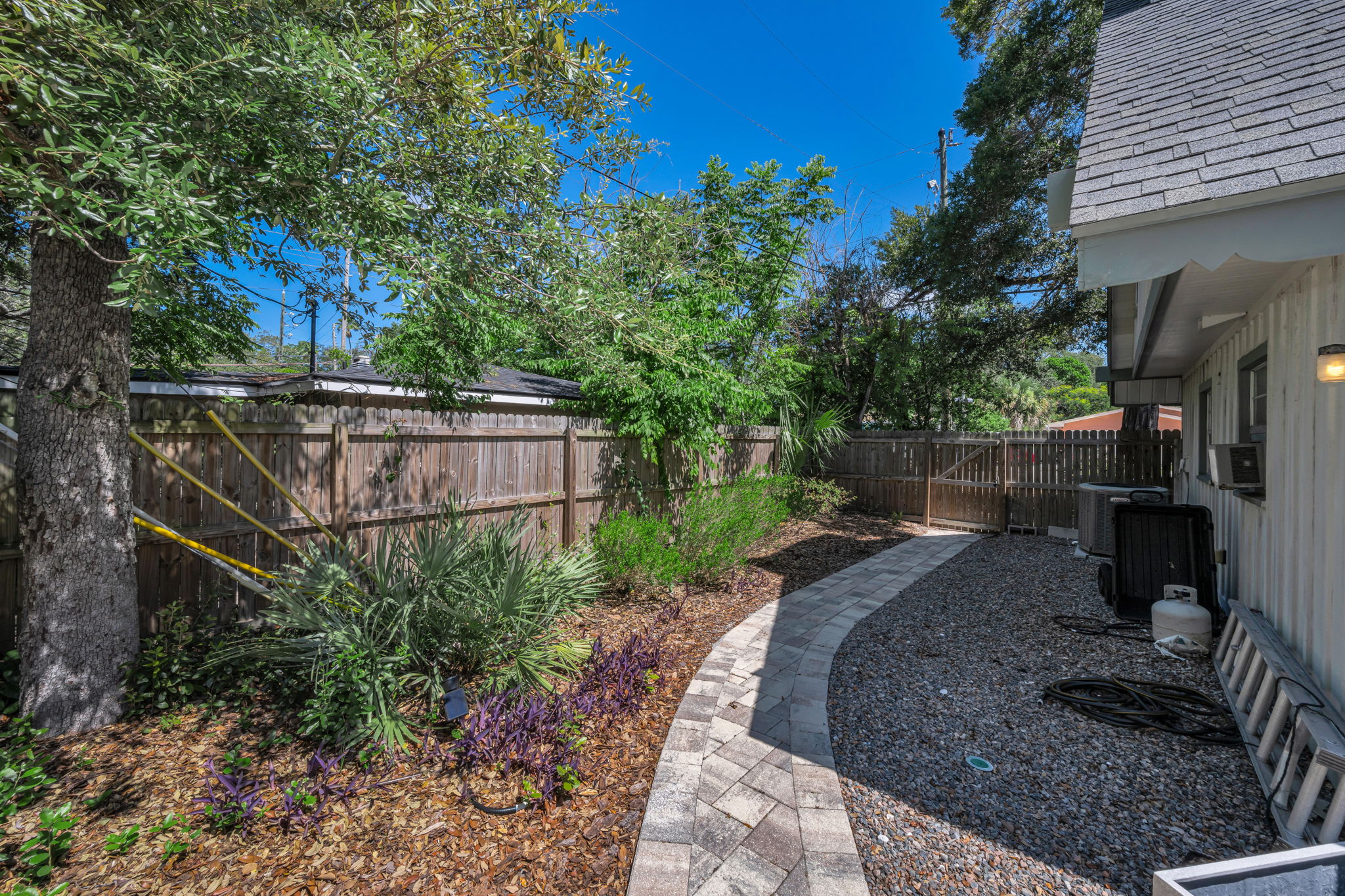 Backyard 2