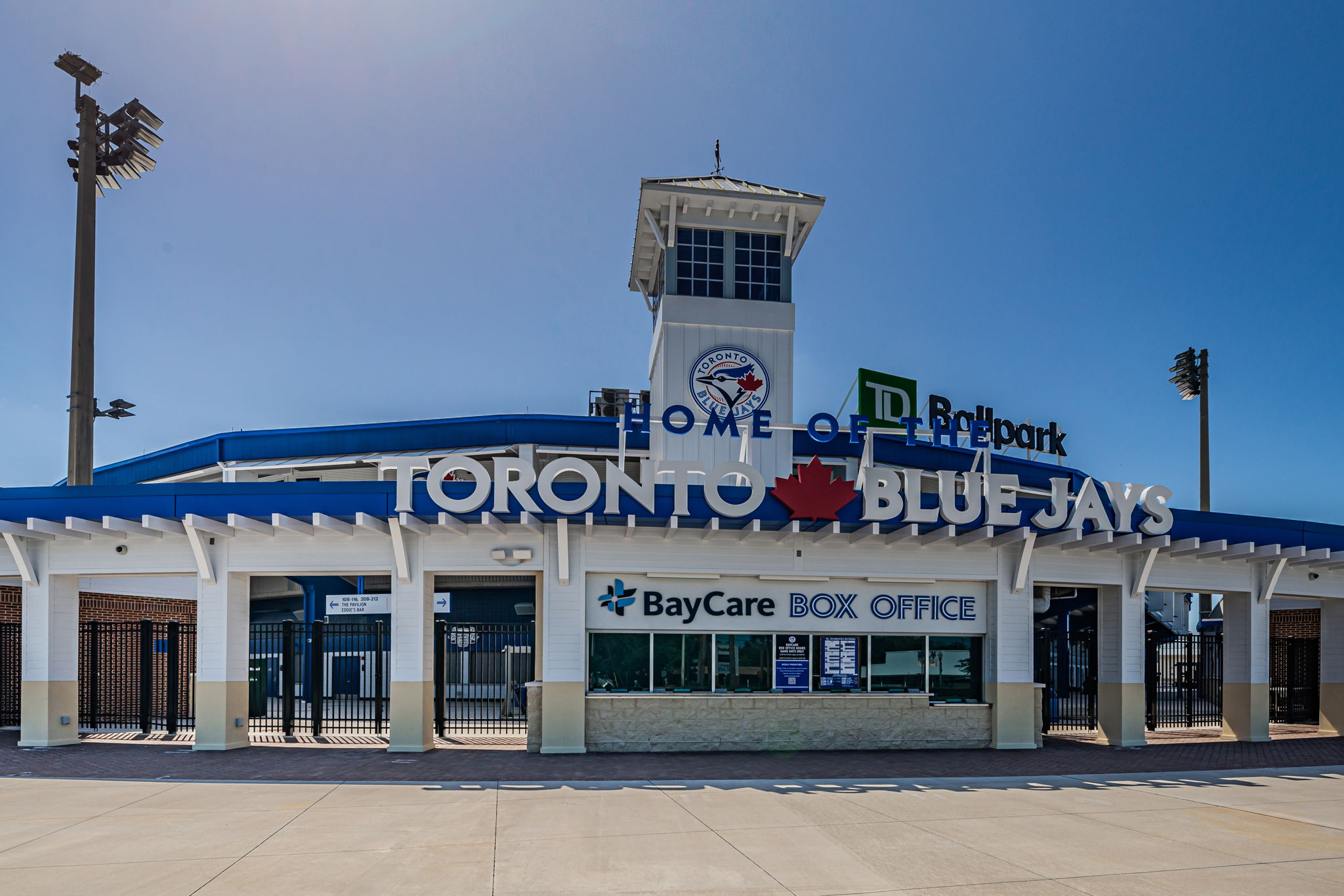 146-Minor League Baseball Team for Toronto Blue Jays