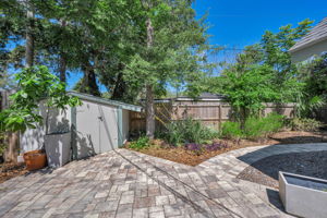 Backyard 1
