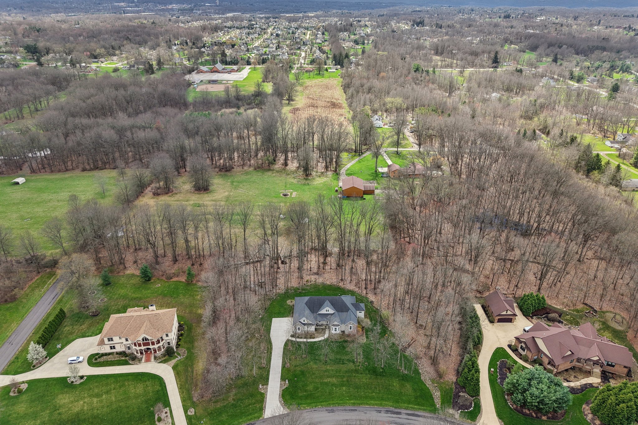 Crown Ridge Dr-L0704-064.jpg