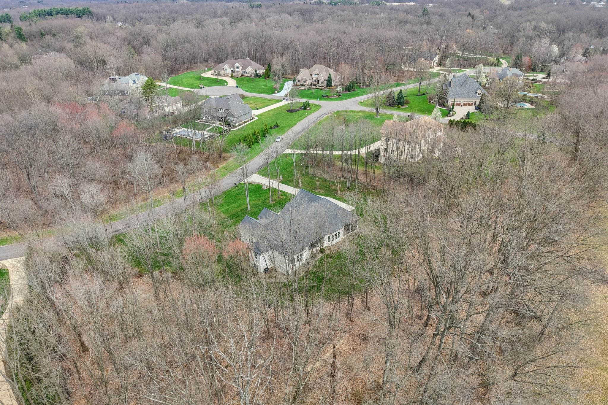 Crown Ridge Dr-L0704-072.jpg