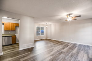 mppmedia380rivertrace07