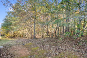 mppmedia380rivertrace19