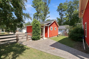  Photo 41