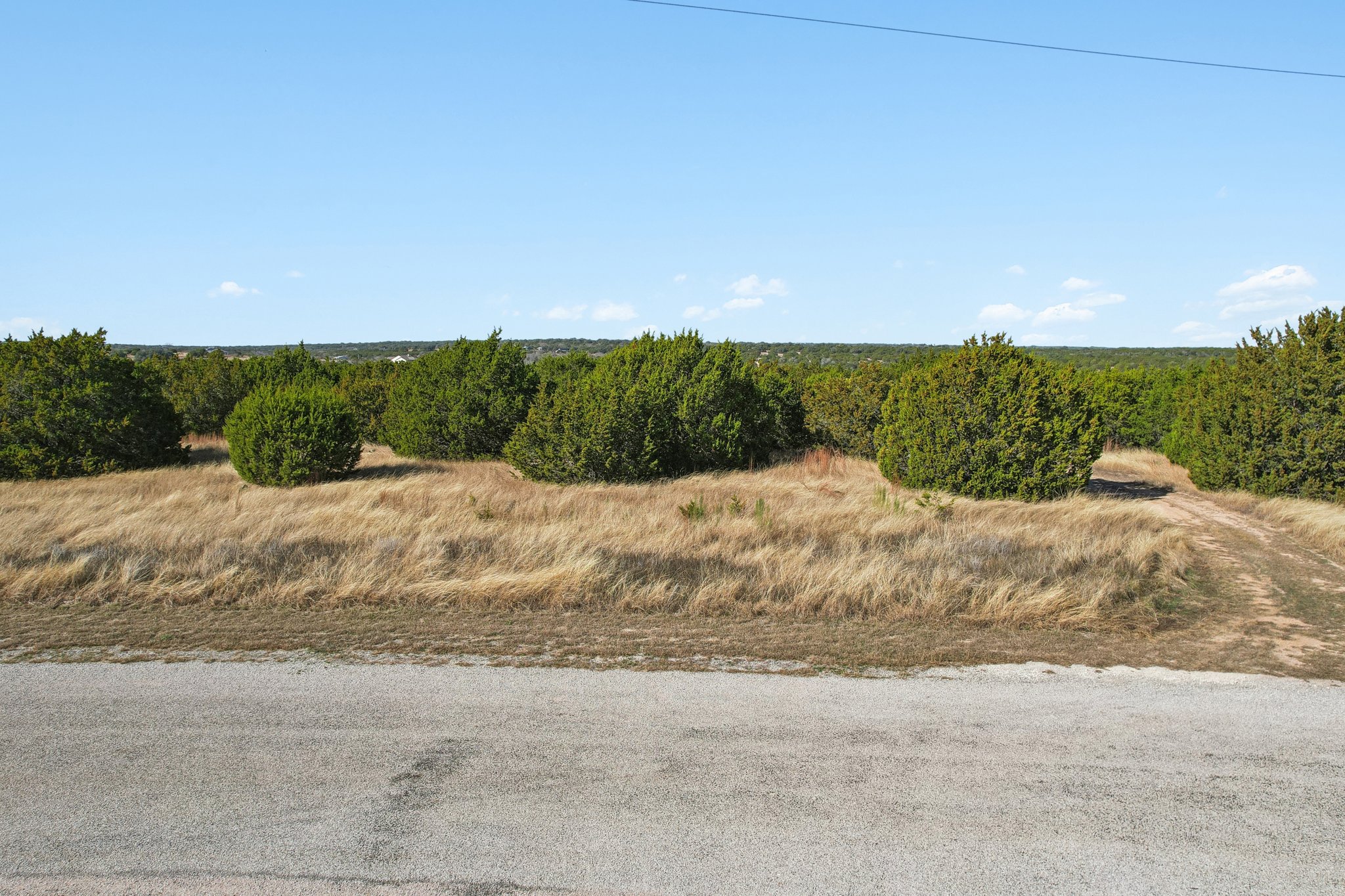 Whitetail Rdg-S0701-002.jpg