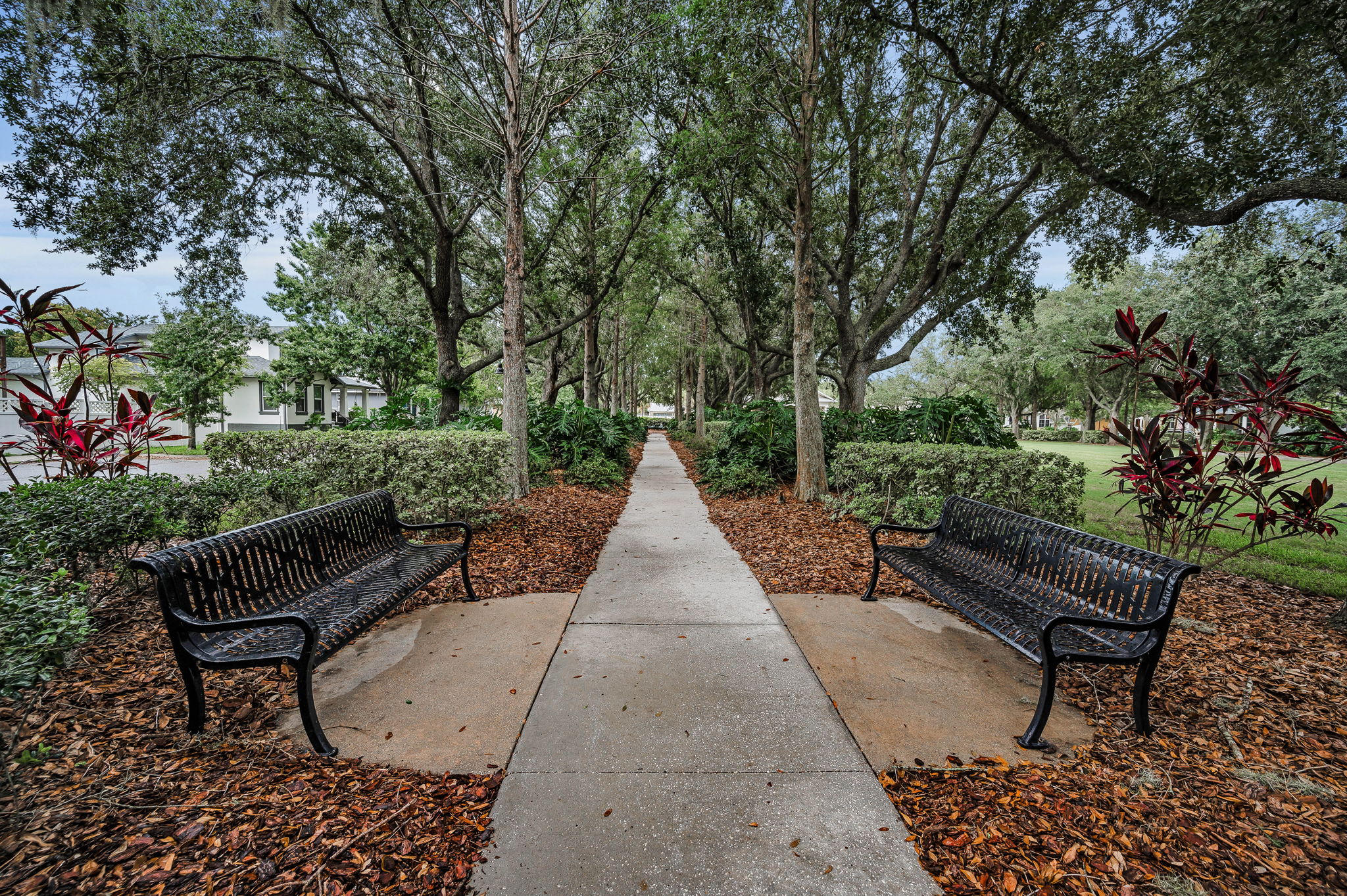 4i-Pioneer Park