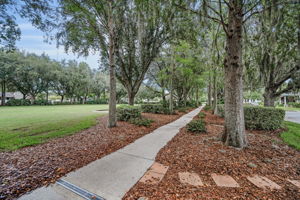 4b-Pioneer Park