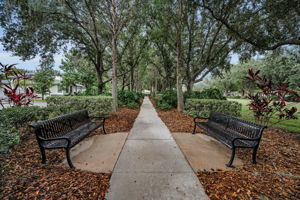 4i-Pioneer Park