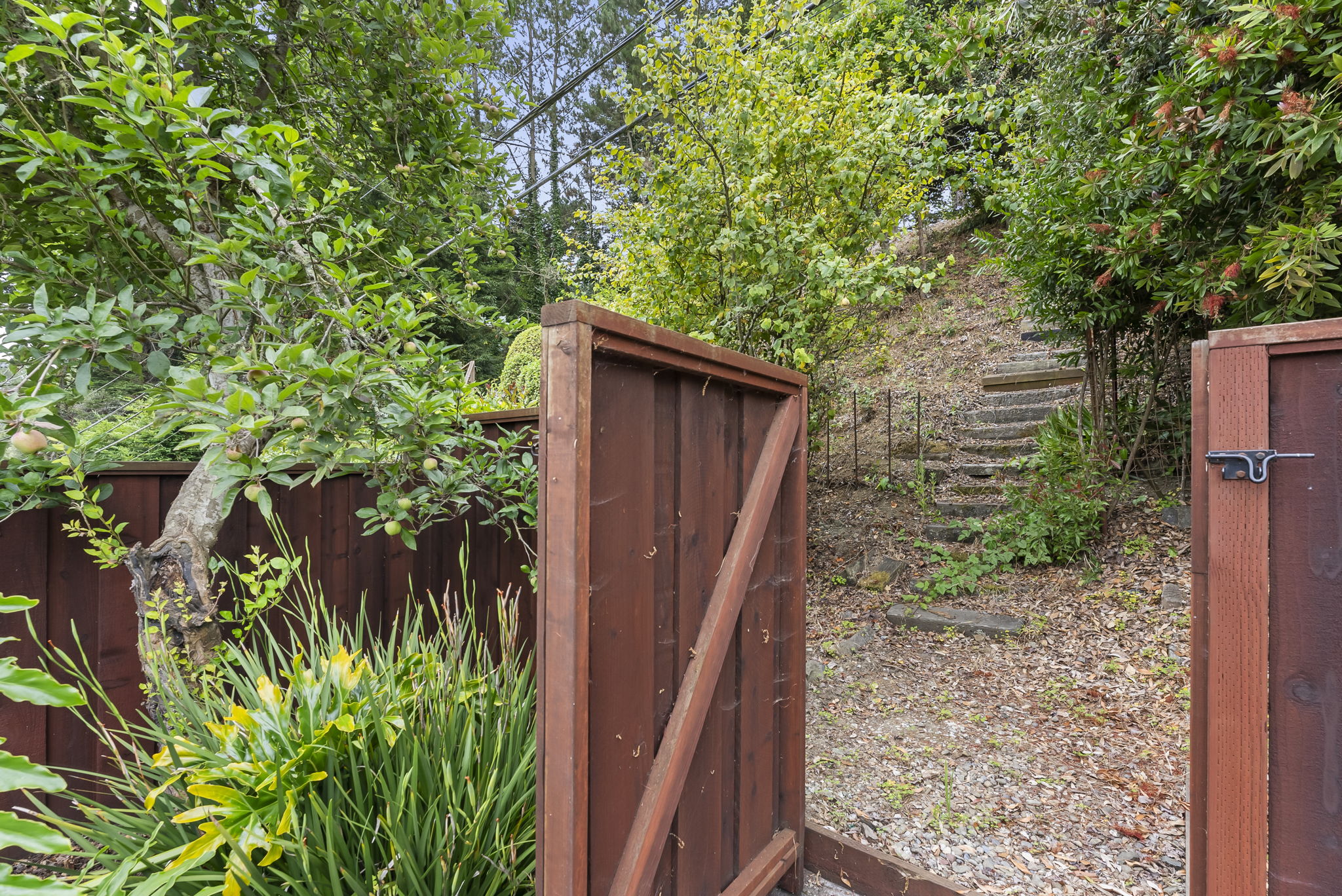 Gate access to hillside