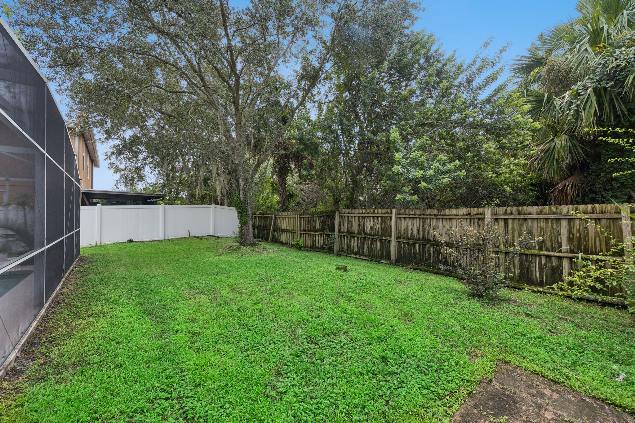 Back Yard