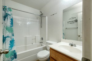 Hall Bathroom
