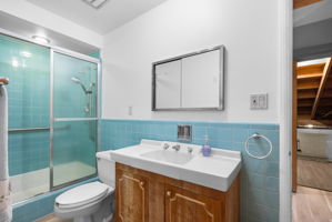 Lower Level - Bathroom