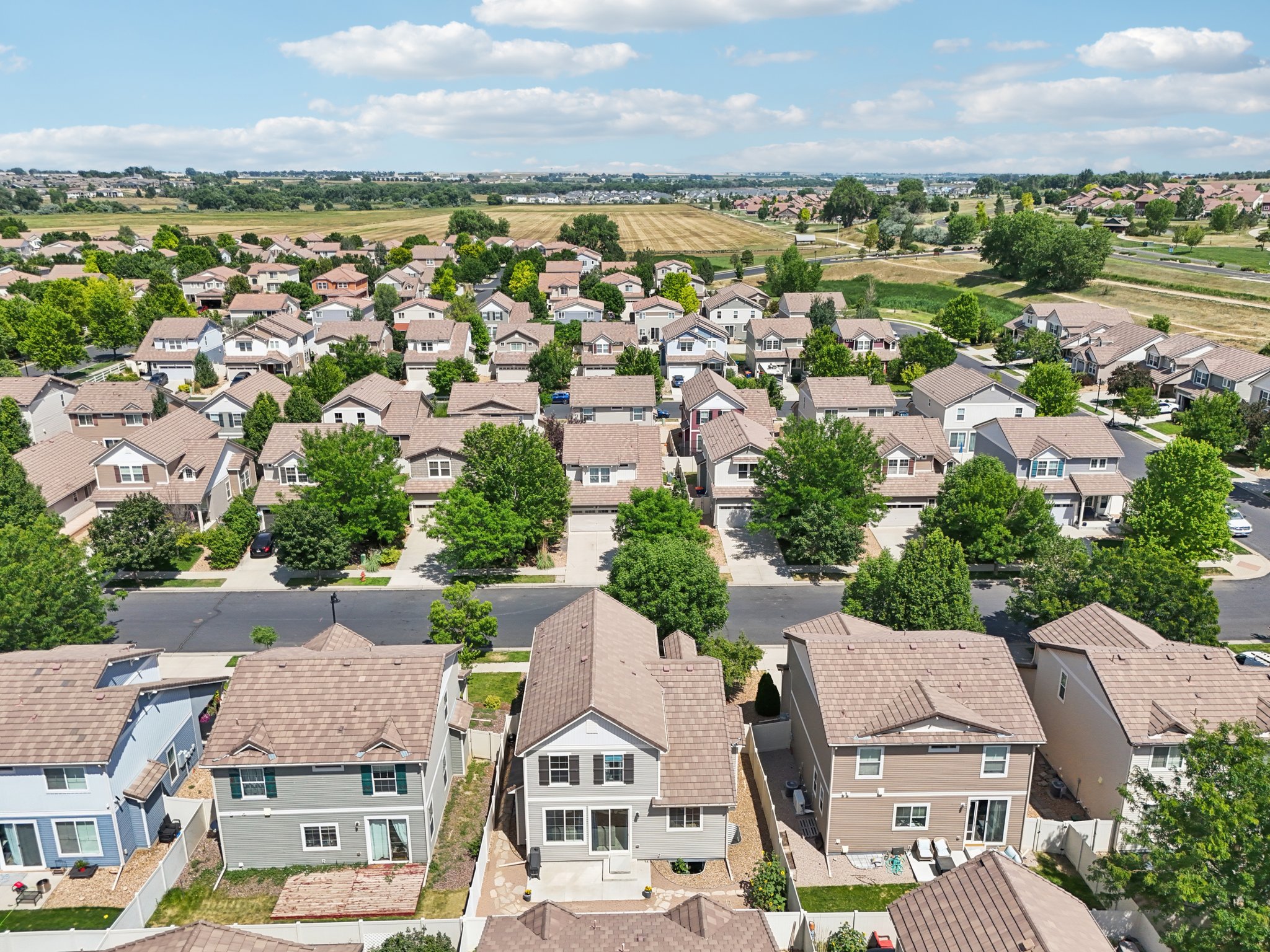 Balsawood Ln-S1207-046.jpg