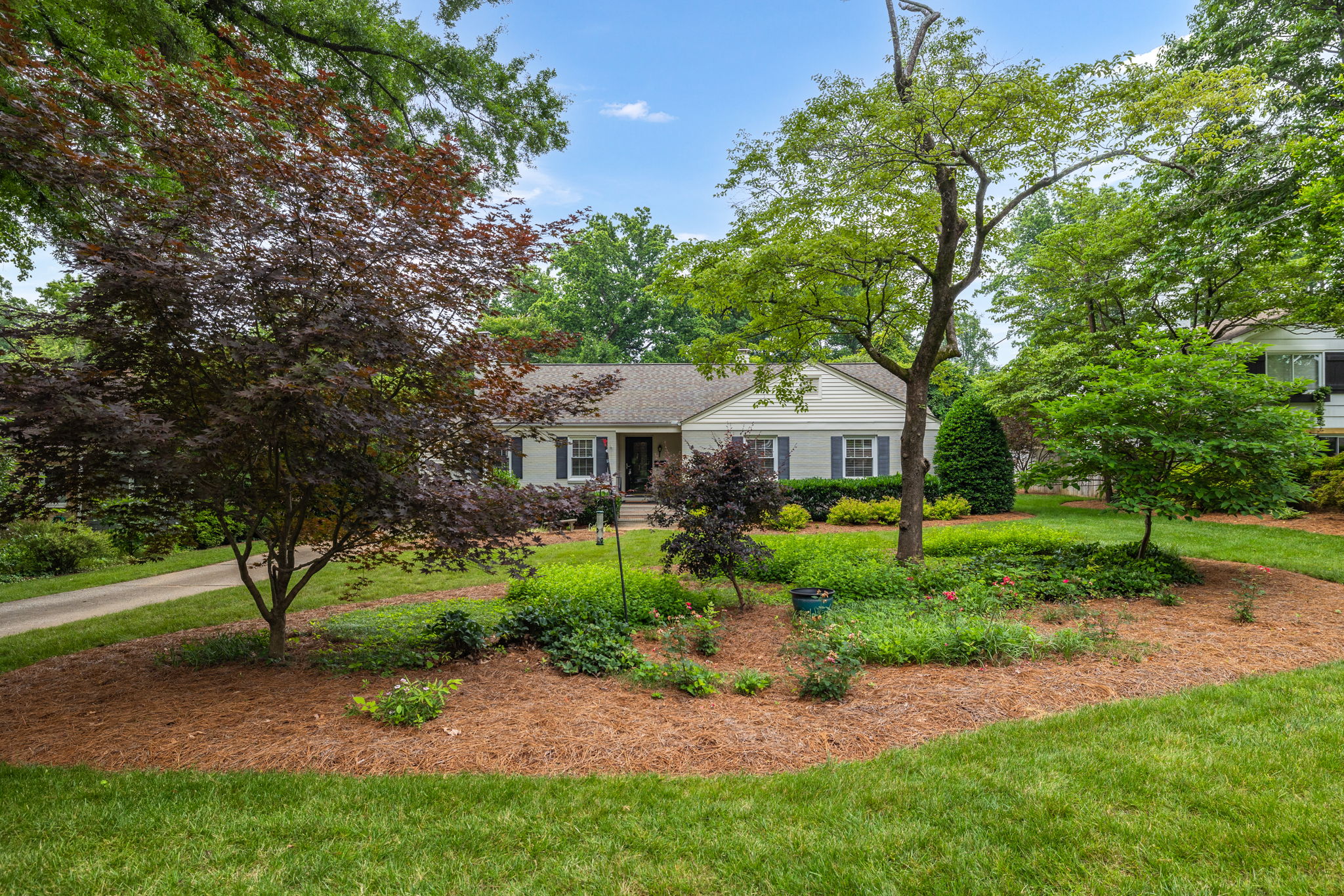 3807 Dogwood Dr-2