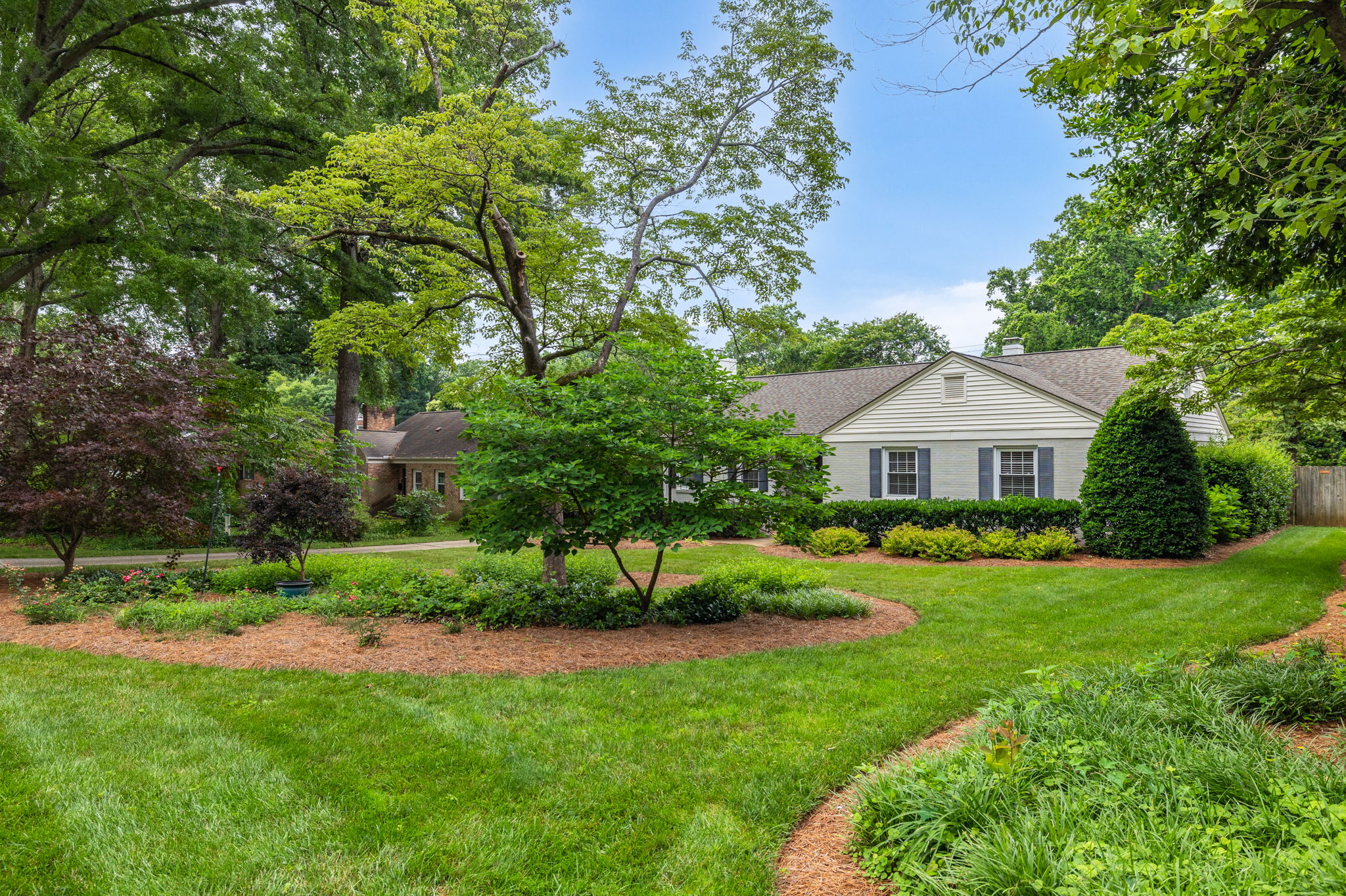 3807 Dogwood Dr-4