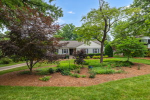 3807 Dogwood Dr-2