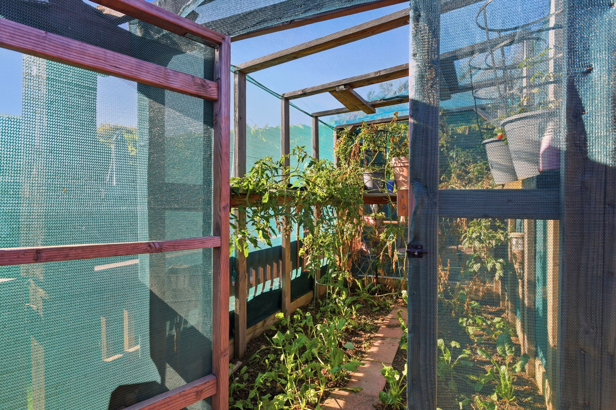  Photo 43