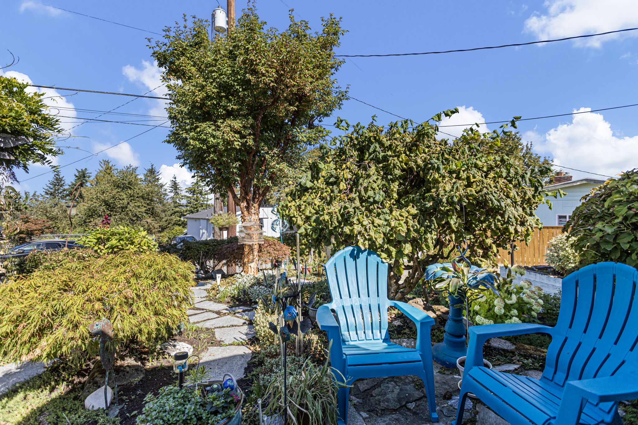 An unusually large mature paperbark maple anchors the grounds, while bright blue chairs create a playful pause among established plantings and whimsical yard art.