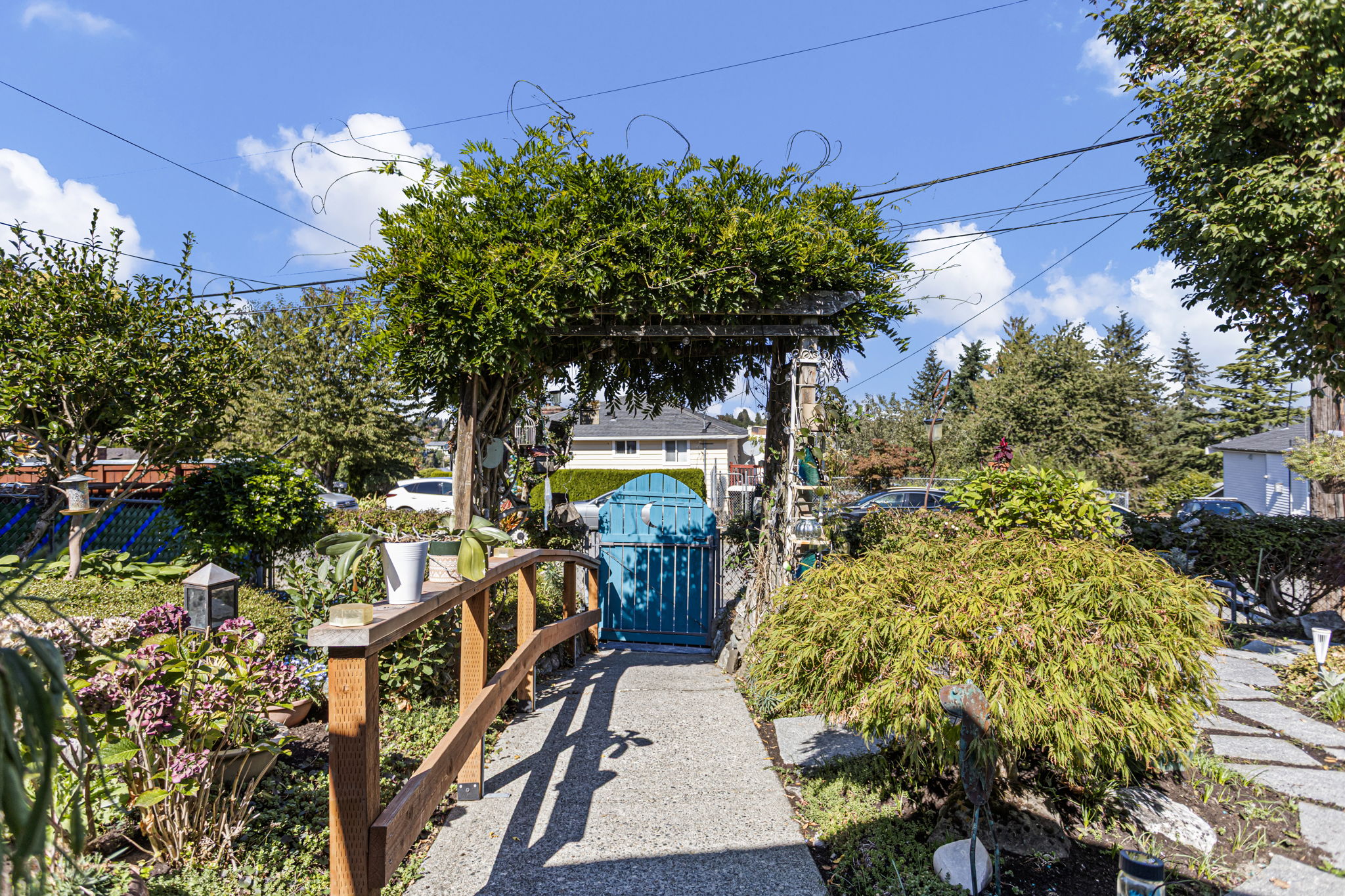 Looking back toward the blue gate, Japanese maple, hydrangea and a vine-covered arbor frame the winding garden walk.