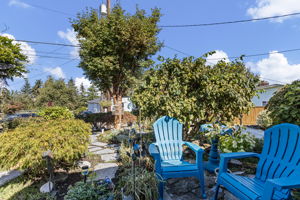 An unusually large mature paperbark maple anchors the grounds, while bright blue chairs create a playful pause among established plantings and whimsical yard art.