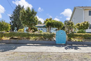 From the street, the garden does most of the talking—layered planting, sculpted greenery and a front yard with real personality.